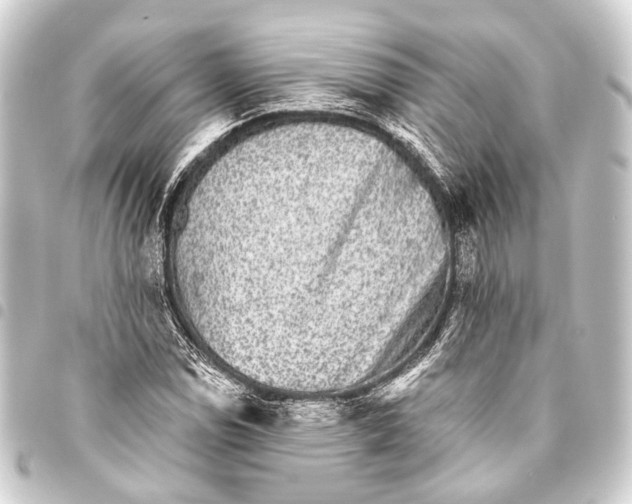 X0000093451114200711021108