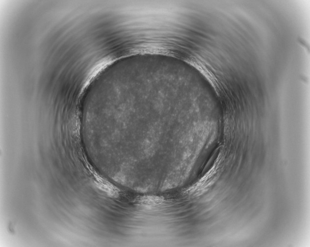 X0000093451115200711021108