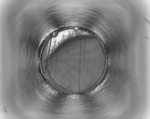 X0000093451117200711021108