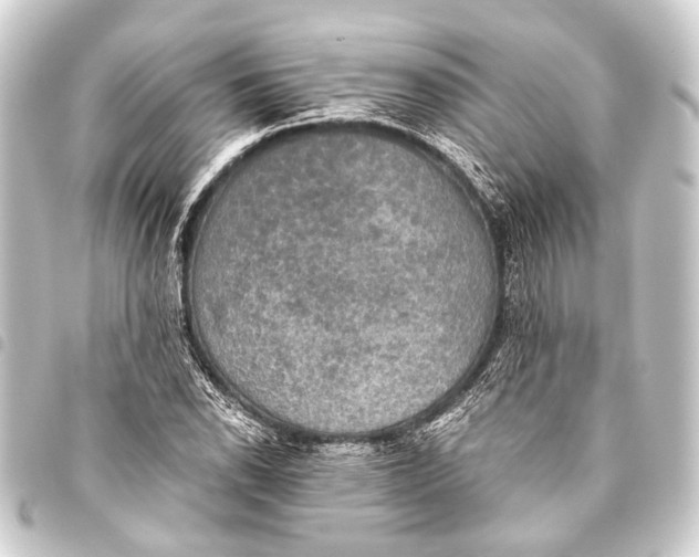 X0000093451118200711021108