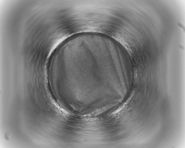 X0000093451120200711021108