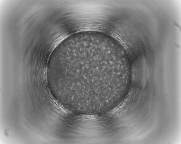 X0000093451121200711021108