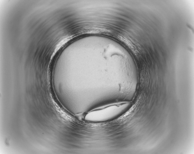 X0000093451122200711021108