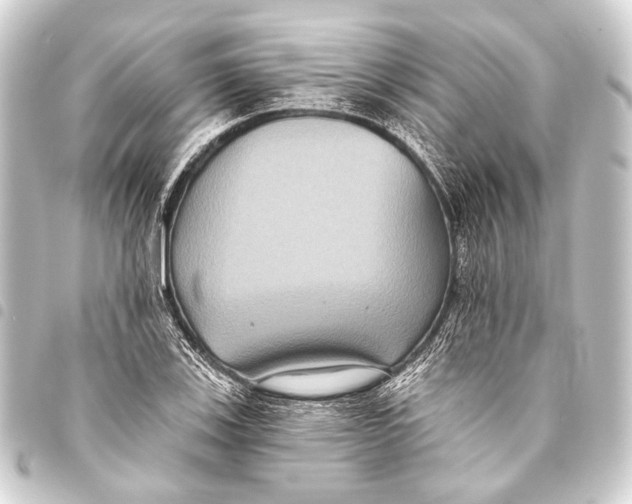 X0000093451123200711021108