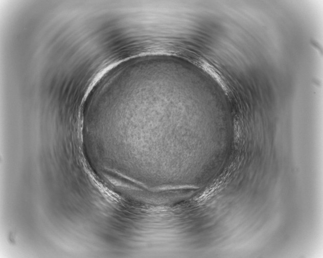 X0000093451124200711021108