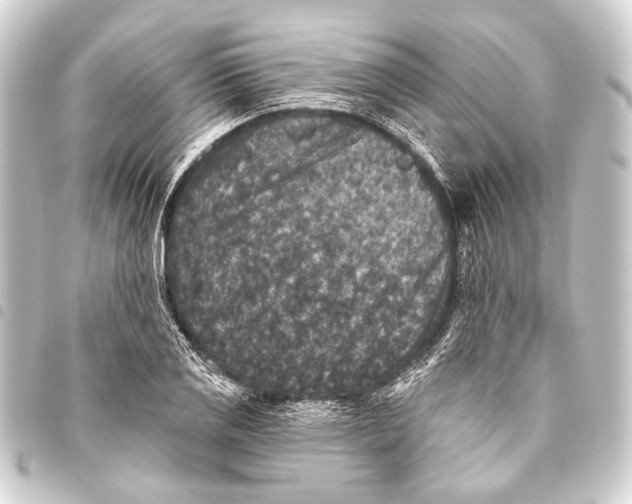 X0000093451125200711021109