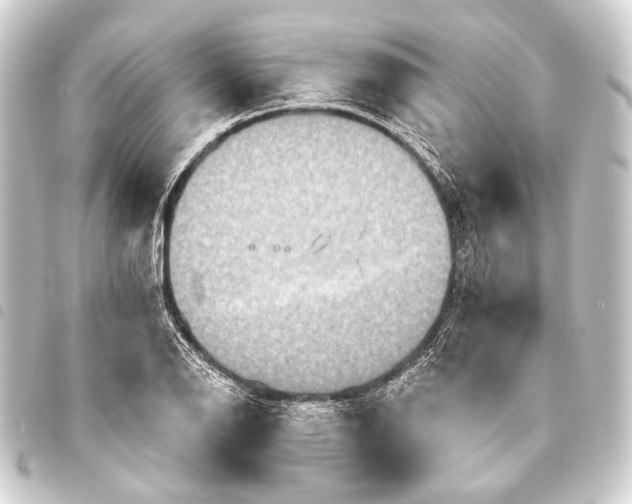 X0000093451126200711021109