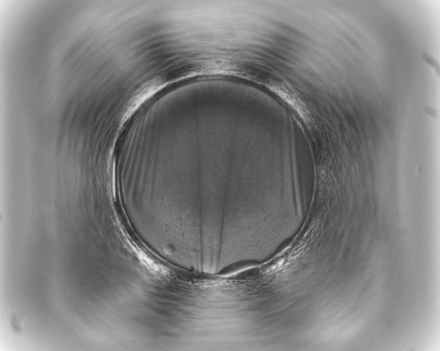 X0000093451127200711021109