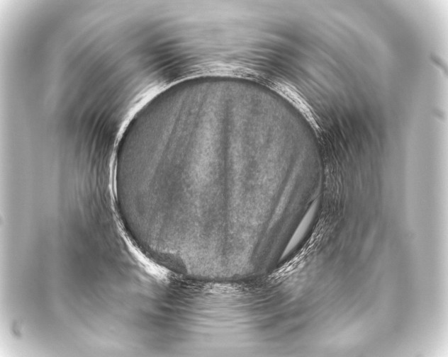 X0000093451128200711021109