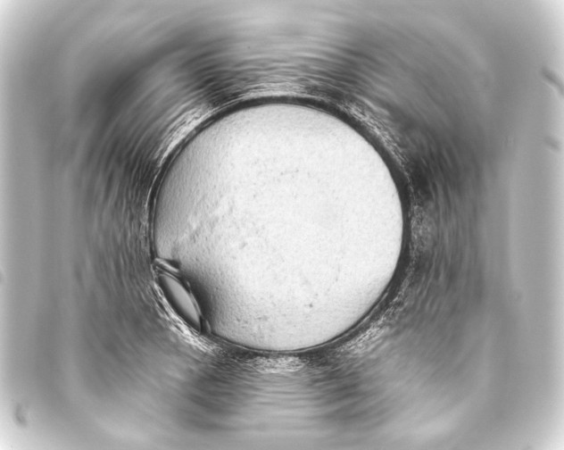 X0000093451129200711021109