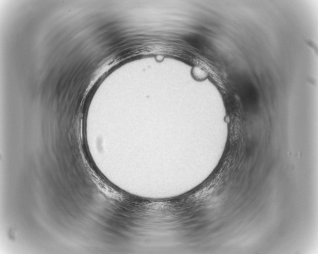 X0000093451130200711021109