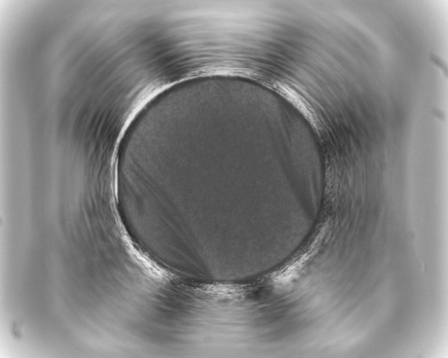 X0000093451132200711021109