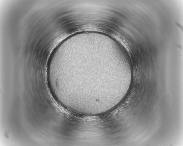 X0000093451133200711021109