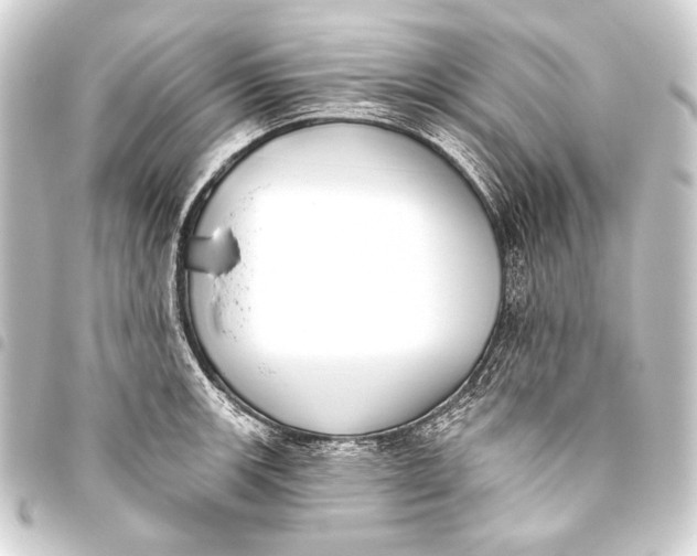 X0000093451139200711021109