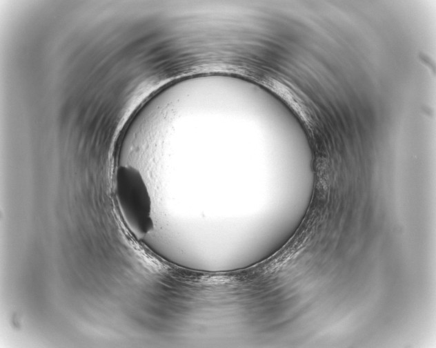 X0000093451140200711021109