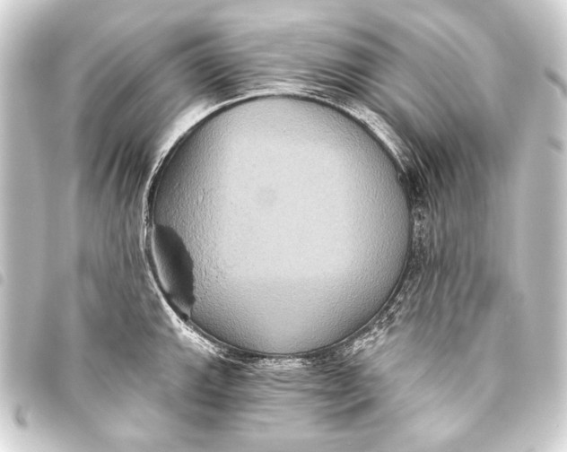 X0000093451143200711021109