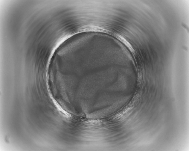 X0000093451144200711021109