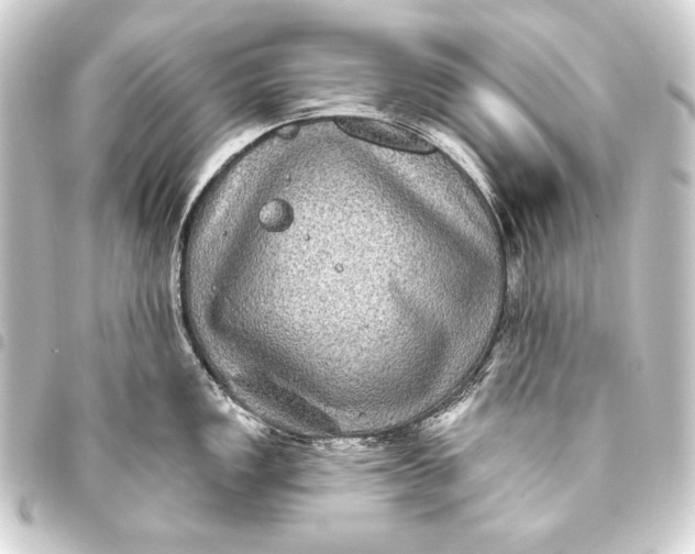 X0000093451149200711021109