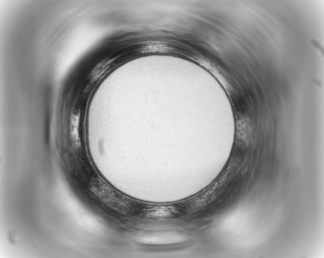 X0000093451150200711021109