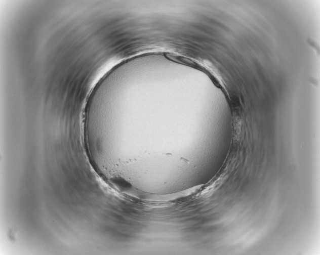 X0000093451151200711021109