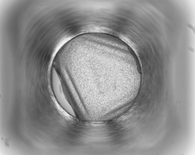 X0000093451152200711021109