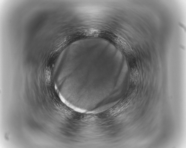 X0000093451154200711021108