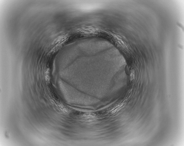 X0000093451156200711021108