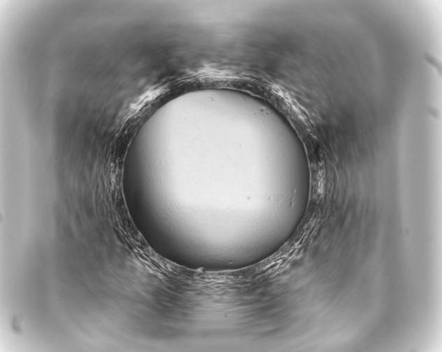 X0000093451157200711021108