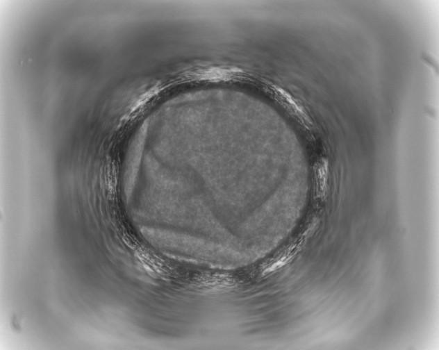 X0000093451158200711021108