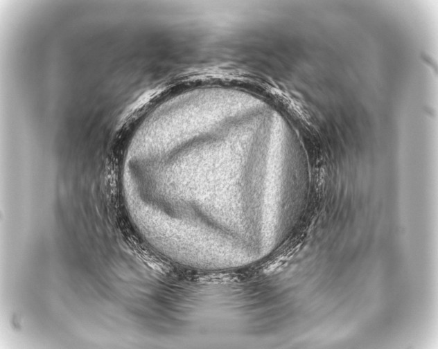 X0000093451159200711021108