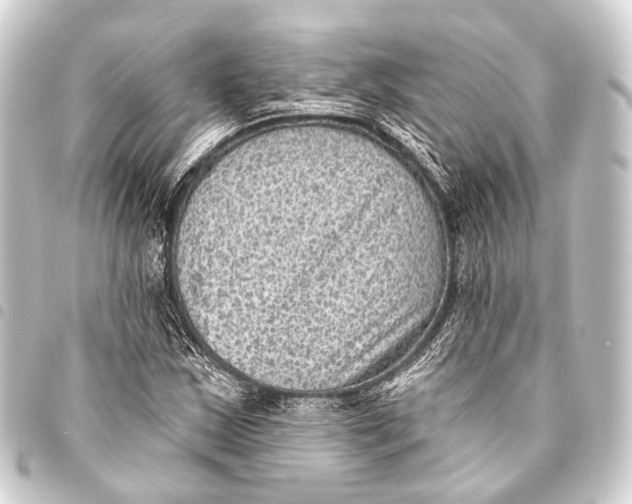 X0000093451163200711021108