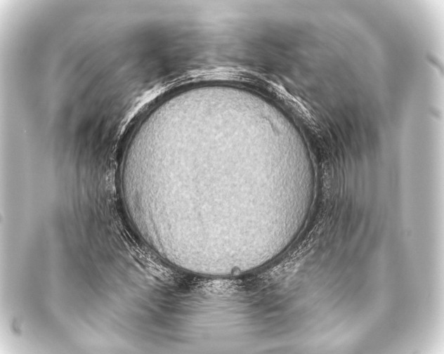 X0000093451166200711021108