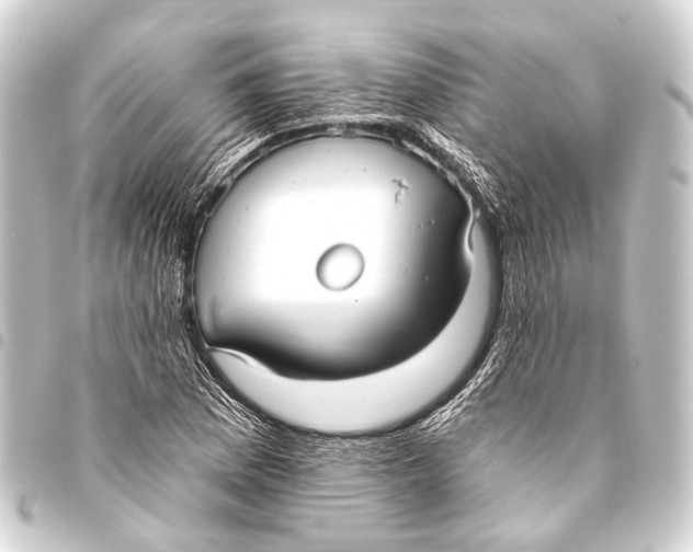 X0000093451169200711021108