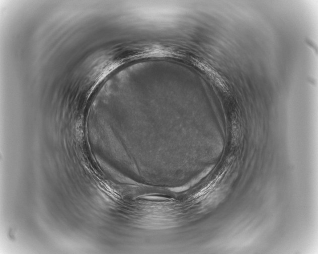 X0000093451170200711021108