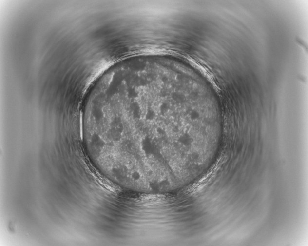 X0000093451171200711021108