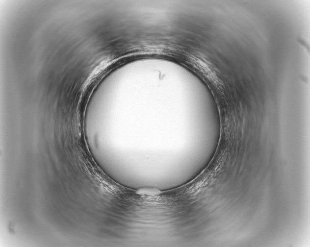 X0000093451172200711021108