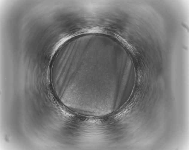 X0000093451174200711021108