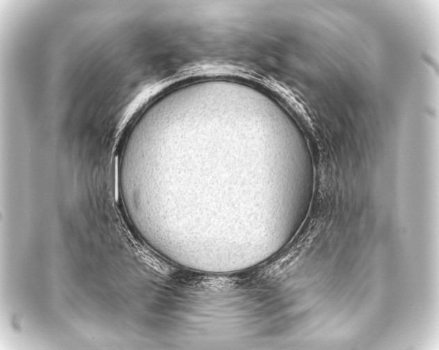 X0000093451175200711021108