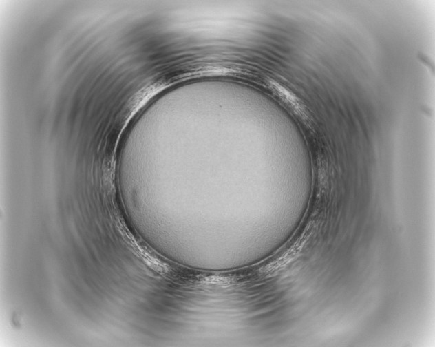 X0000093451178200711021108