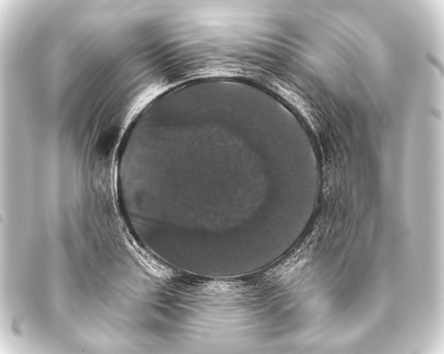 X0000093451179200711021108