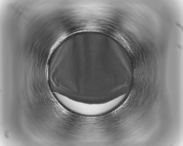 X0000093451180200711021108