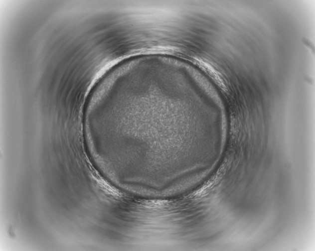 X0000093451184200711021108