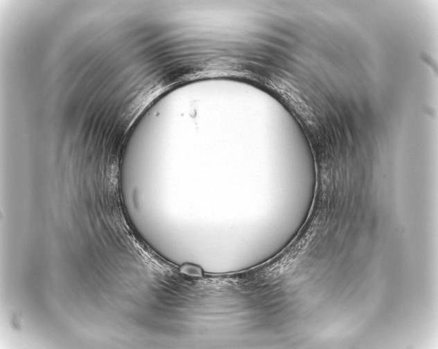 X0000093451185200711021108