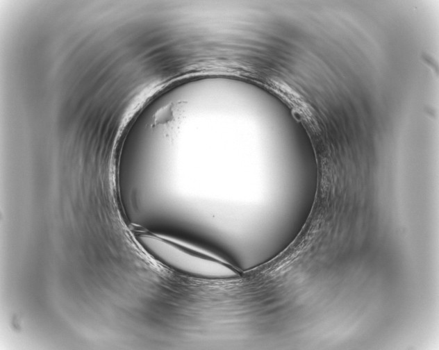 X0000093451188200711021108