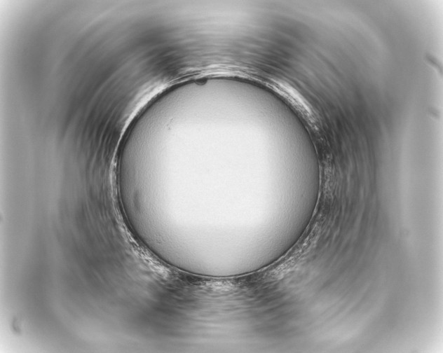 X0000093451190200711021108