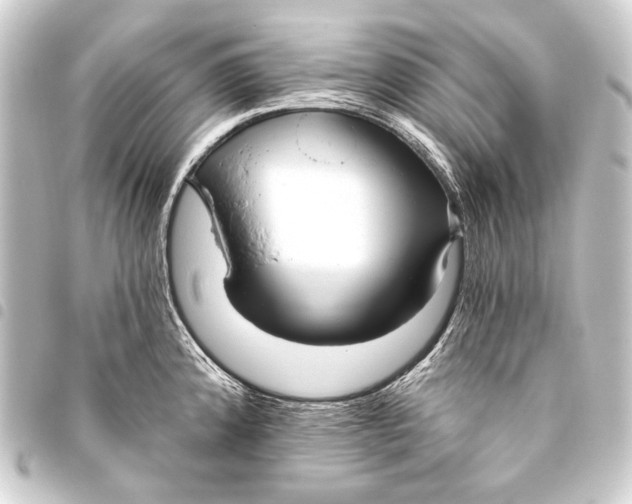 X0000093451192200711021108