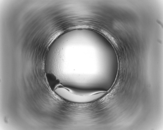 X0000093451193200711021108