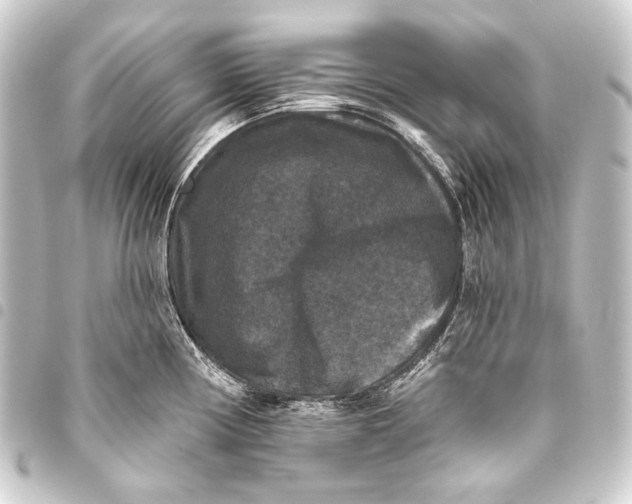 X0000093451194200711021108