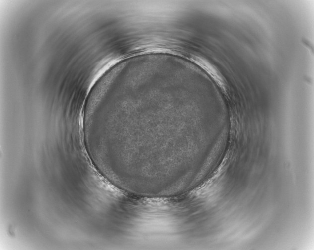 X0000093451198200711021108