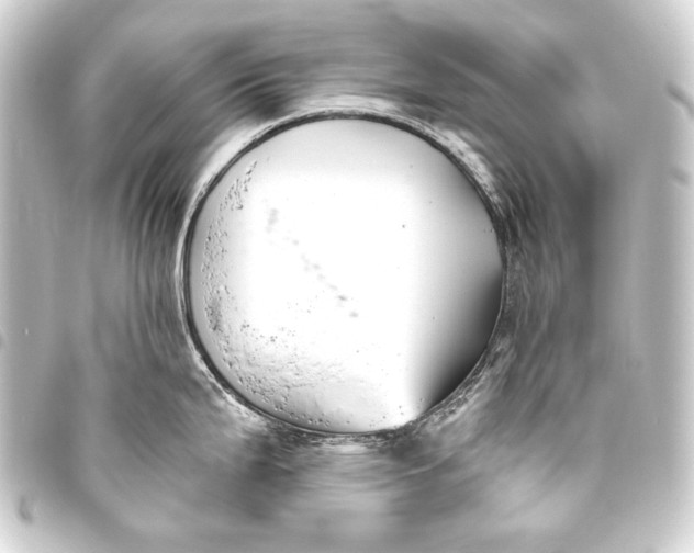 X0000093451199200711021108